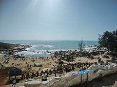 -广东惠东海龟国家级自然保护区