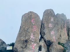 -白草畔自然风景区