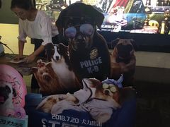 -博纳国际影城(铜锣湾激光巨幕杜比店)