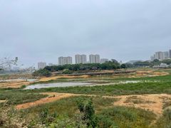 -立新湖公园