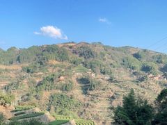-杨家堂村