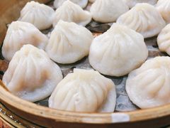 鲜肉小笼-南翔饭店