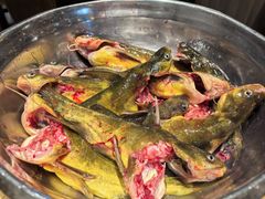 -肖肖酸萝卜鱼火锅(总店)