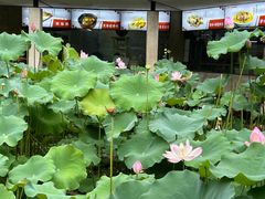 -天怡·鱼工厂(梅溪湖店)