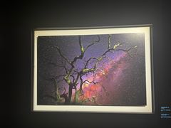 -罗红摄影艺术馆