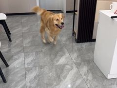 -宠颐生宠物医院·综合诊疗(先锋分院)