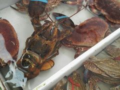-大湾区中央湿地公园-十九涌