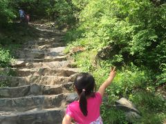 -北京鹫峰国家森林公园