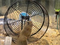 -绿色星球动物主题公园