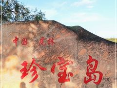 -珍宝岛