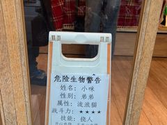 -猫的天空之城概念书店(大学路店)