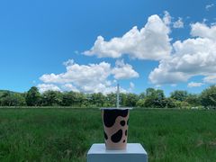 -瑞穗牧场