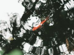 内景-玉書·書房