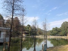 -广州市白云山风景名胜区