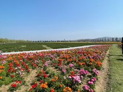 -漩门湾国家湿地公园