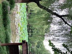 -孝子祠公园