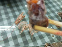 -烁佳海鲜大馅饺子