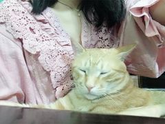 -盛天毛血旺非遗美食(观音桥店)