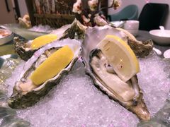 -千岛蚝高压锅生蚝·人参火锅(白云万达店)