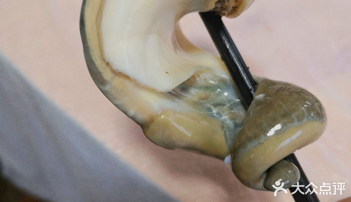 在姑姑家里做大厨