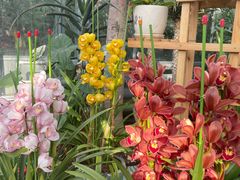 -国家植物园南园