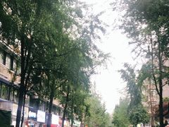 -奎星楼街