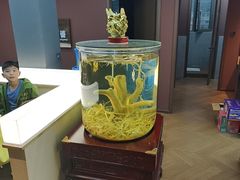 -巧婆婆特色东北菜·铁锅炖
