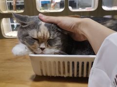 -藦茜花园宠物主题亲子互动体验馆(国顺东路店)