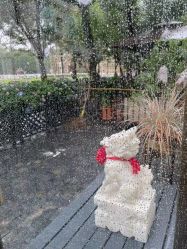 -新蝶变皮肤管理中心