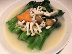 菇仔瑶柱浸菜心-虾饺妹·酒家(金碧店)