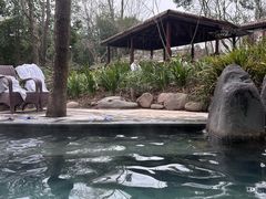 -青城道汤池