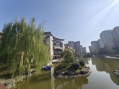 -梧桐人家中国太平国际健康颐养社区