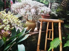 -小洲村