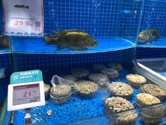 水产区-七鲜超市(通州ONE店)