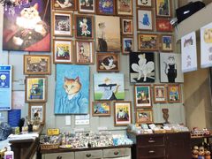 -猫咪博物馆(顶澳仔猫街店)