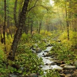 -薇兰专业脱毛连锁机构