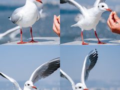 -海埂大坝