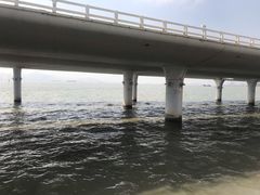 -演武大桥观景平台