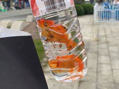 -风云再起游乐汇(南京常发广场店)