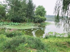 -东郊湿地公园