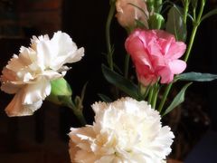 -西关84·History·Art·Cafe