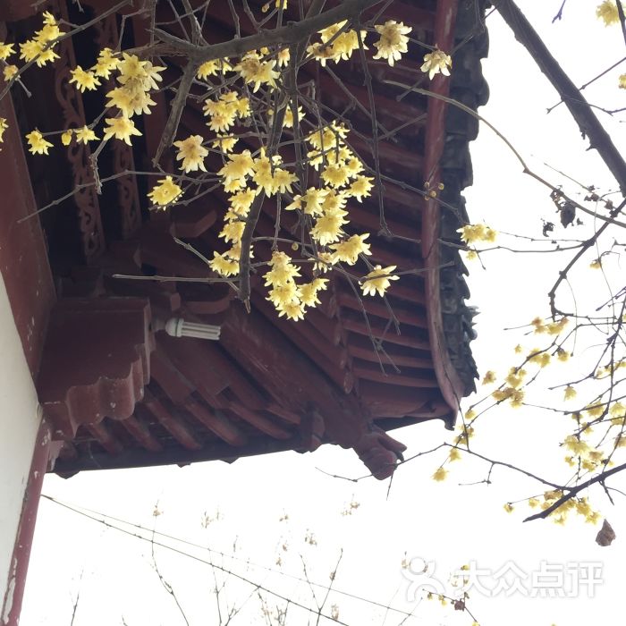 护龙禅寺图片 - 第2张