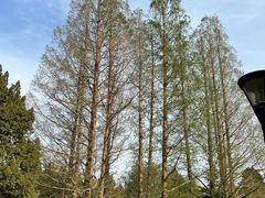 -国家植物园南园