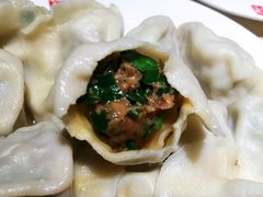 韭菜肉大份-岳姥姥饺子(泺文路店)