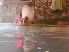 -天明山温泉大酒店