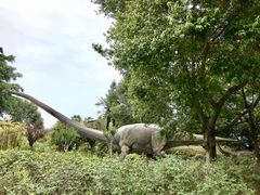 -自贡恐龙博物馆