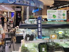 -盒马鲜生(大成店)