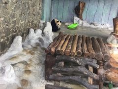 -海南热带野生动植物园