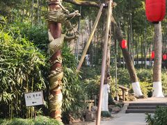 -杭州黄龙洞