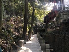 -十八棵（老龙井）御茶园(老龙井店)